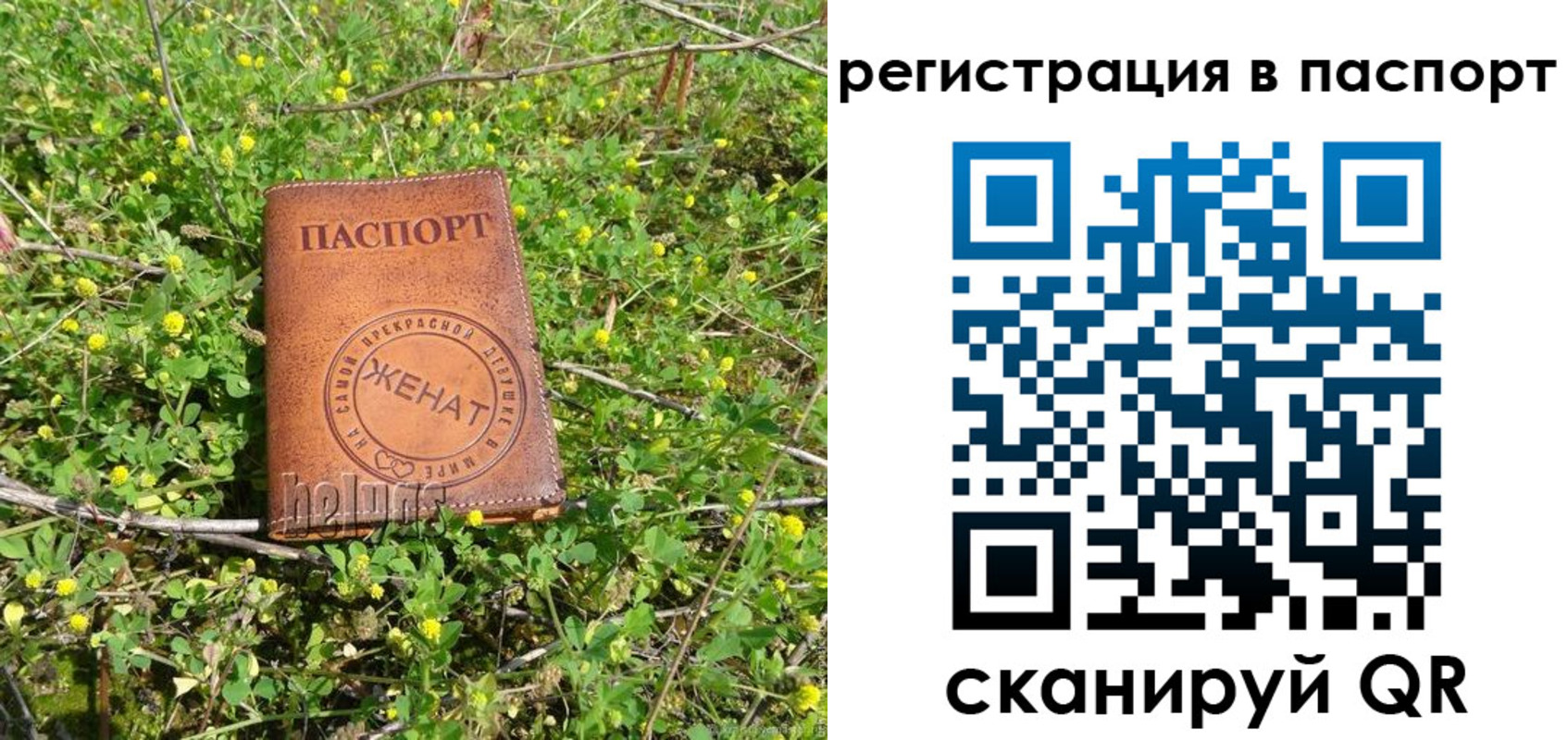 прописка законно в Сахалинской области